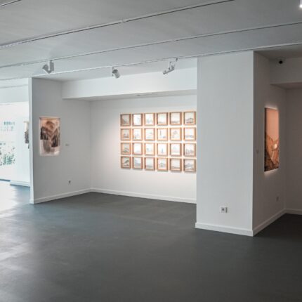 Filiz Piyale Onat’ın “Omorika” Sergisi Marcus Graf Küratörlüğünde Decollage Art Space’te Açıldı