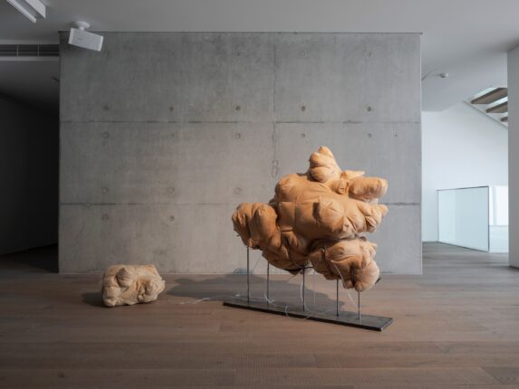 Canavarların Vaatleri” Ezgi Hamzaçebi Küratörlüğünde Hara’da  Ziyarete Açıldı