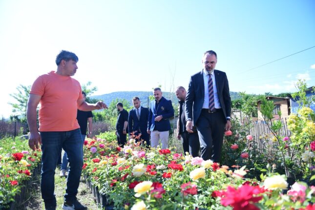 Süs Bitkileri Üretimi Kestel Belediyesi ile Dünya Pazarına Açılıyor