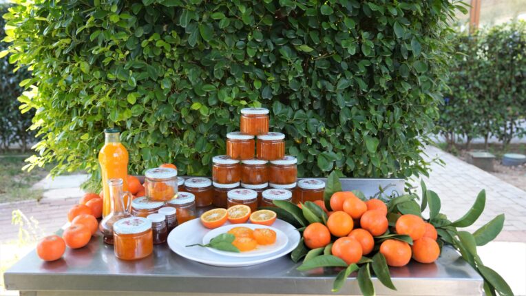 ALANYA’DA DAYANIŞMANIN EN TATLI HALİ