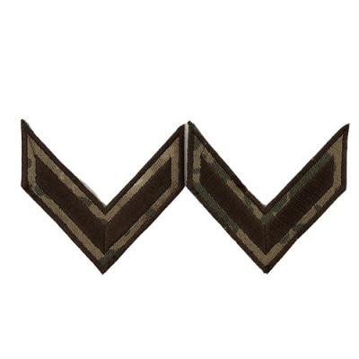 Vatanın Çelikleşen İradesi: Tarsuslu Adile Onbaşı