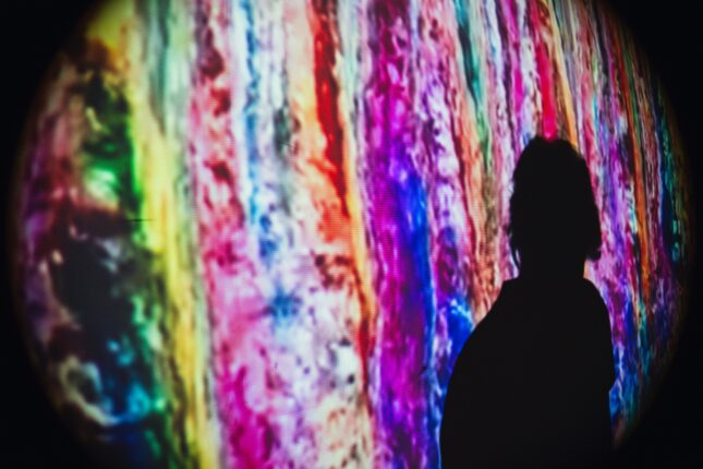 Hara’da “Canavarların Vaatleri” Sergisi Özelinde Etkinlik Programı