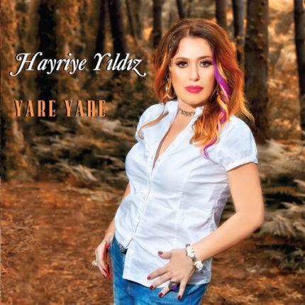 Söz Yazarı ve Besteci THM Sanatçısı Hayriye Yıldız Üretimleriyle Dikkat Çekiyor