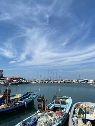 Bir Günde Bir Ömürlük İz: Türkân Polat’ın Dostluk Yolculuğu ve Alaçatı Ot Festivali