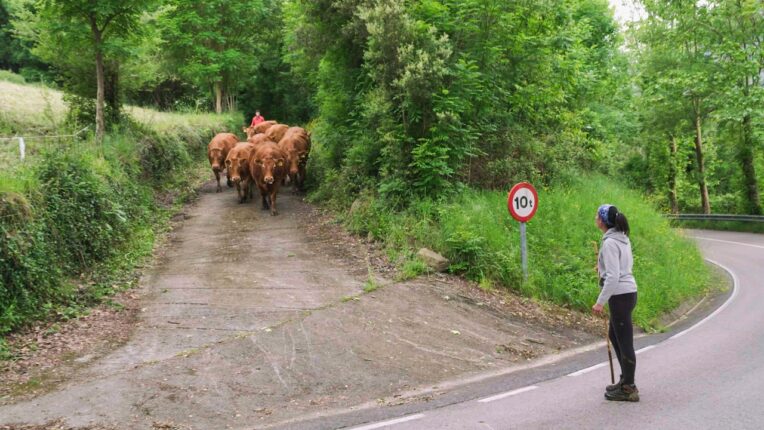 Çiftlik Hayatı Zordur