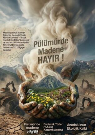 Pülümür Direniyor!