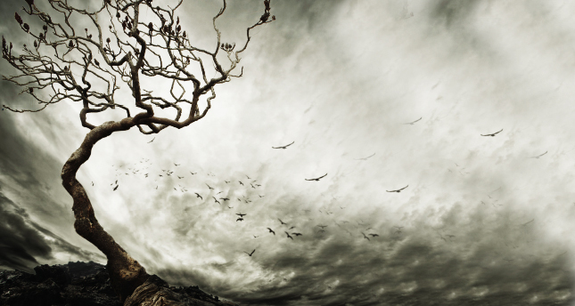 İyiliğin İnşası: İçimizdeki Kötülükle Yüzleşmeden Mümkün mü?