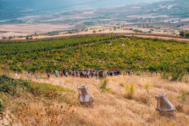 Barbare Studio’nun İkinci Sergisi: “Temas Bölgesi”
