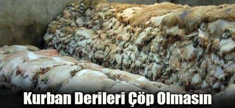 Kurban Derileri Neden Değerlendirilemiyor?