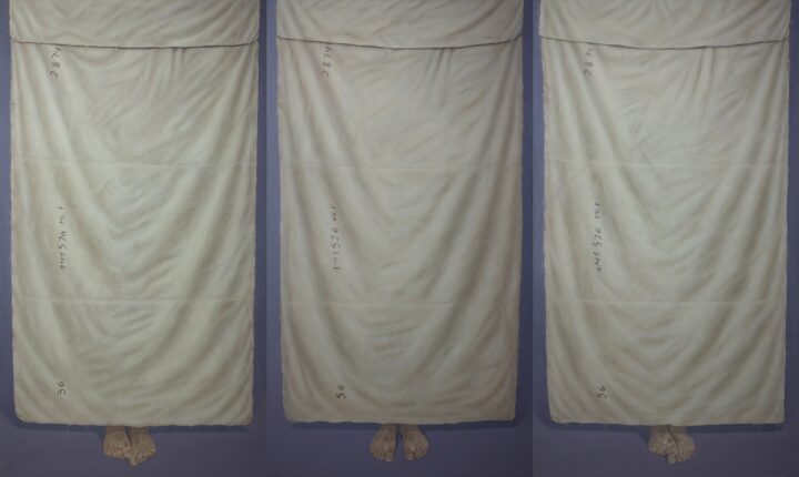 Ahmad Rafi’nin “Against Transparency” Adlı Sergisi  Shiva Zahed Gallery’de Ziyarete Açılıyor