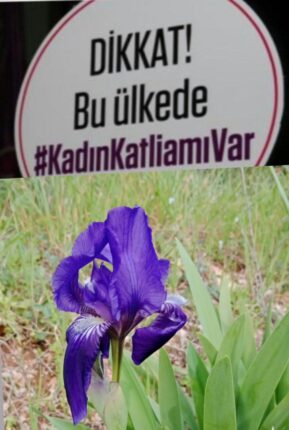 ANNELERİMİZ