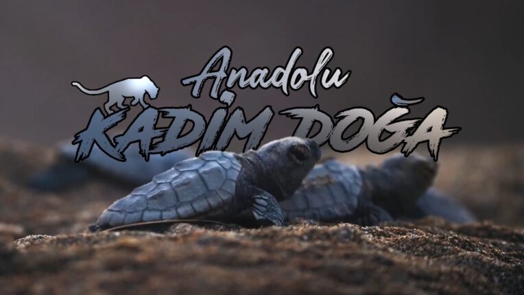 ANADOLU’NUN KADİM DOĞASI