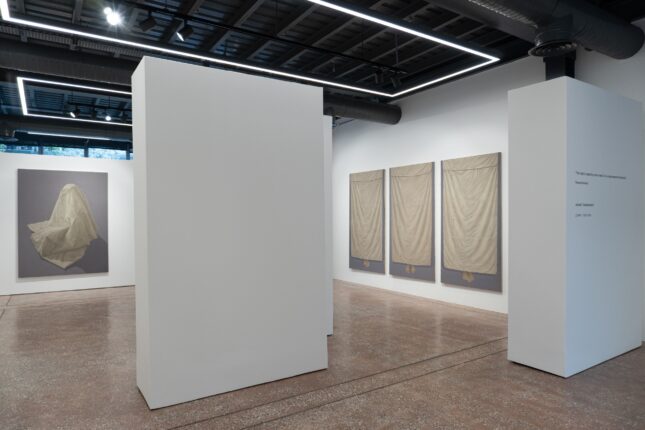 Ahmad Rafi’nin “Against Transparency” Adlı Sergisi 18 Temmuz’a dek Shiva Zahed Gallery’de Devam Ediyor