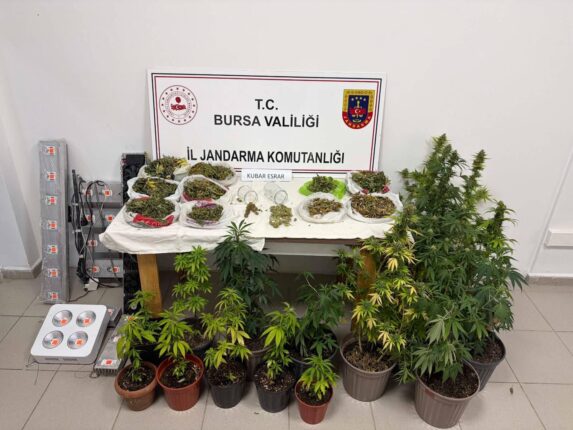 Bursa’da Jandarmadan Uyuşturucu Operasyonu: Kenevir Bitkileri ve Kilolarca Esrar Ele Geçirildi