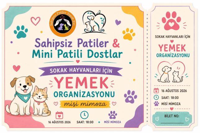 Sahipsiz Patiler ve Mini Patili Dostlar Sokak Hayvanları İçin Güçlerini Birleştiriyor