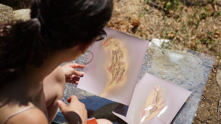 Doğaya Sanat Programı Sona Erdi