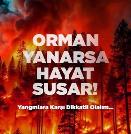 ORMAN YANARSA, GELECEĞİMİZ KARARIR