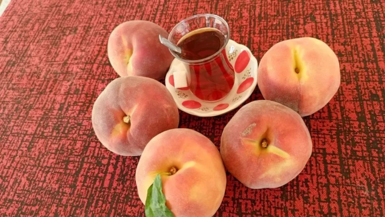 Şeftalide Fiyat Geriledi, Maliyet Arttı: Üretici Destek Bekliyor