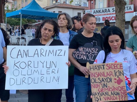 Bursa’da Hayvan Hakları İçin Yeni Yapılanma