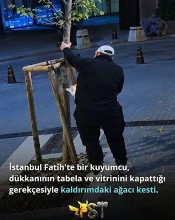 Tekin Seyrekoğlu’ndan Ağaç İddialarına Sert Yanıt: “Hakkımdaki İddialar Gerçek Dışıdır”