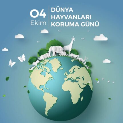 Kazım Gezer’den 4 Ekim Hayvanları Koruma Günü’nde belediyelere eleştiri